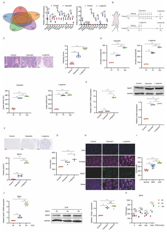 Int J Biol Sci Image