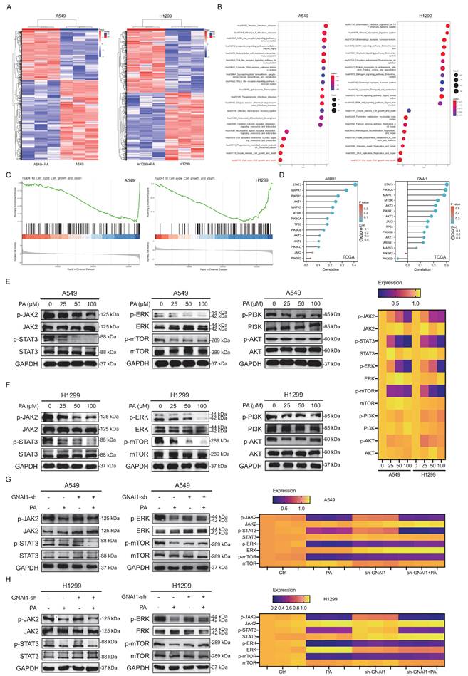 Int J Biol Sci Image