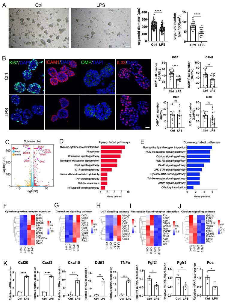 Int J Biol Sci Image