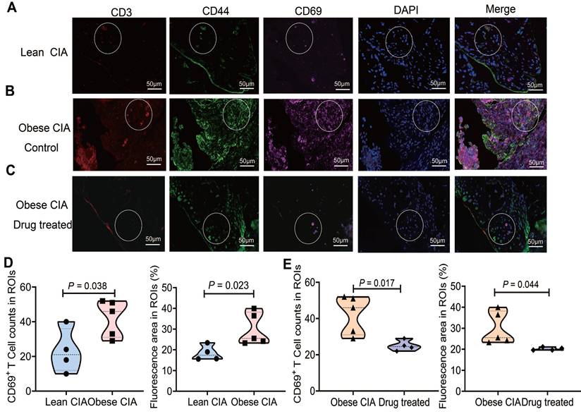 Int J Biol Sci Image