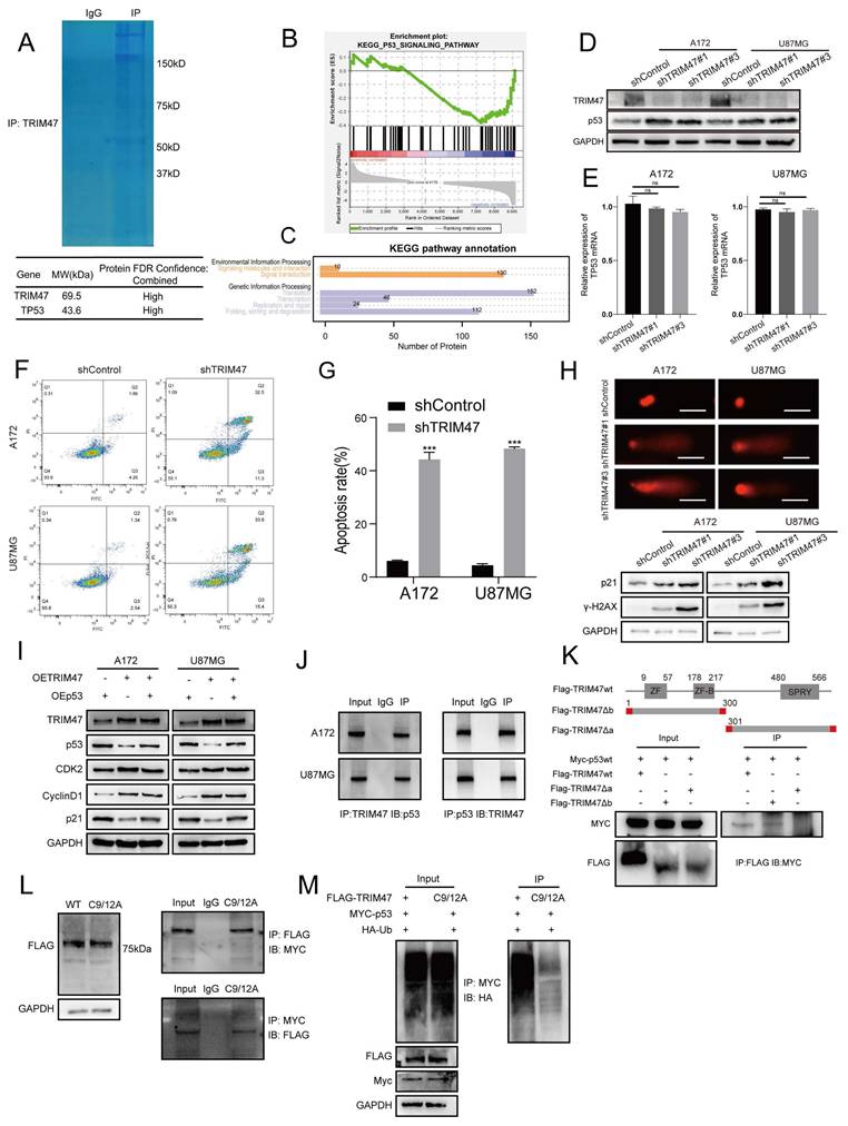 Int J Biol Sci Image