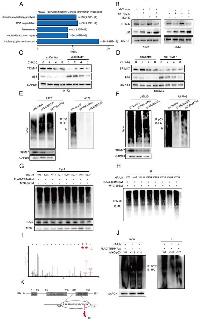 Int J Biol Sci Image