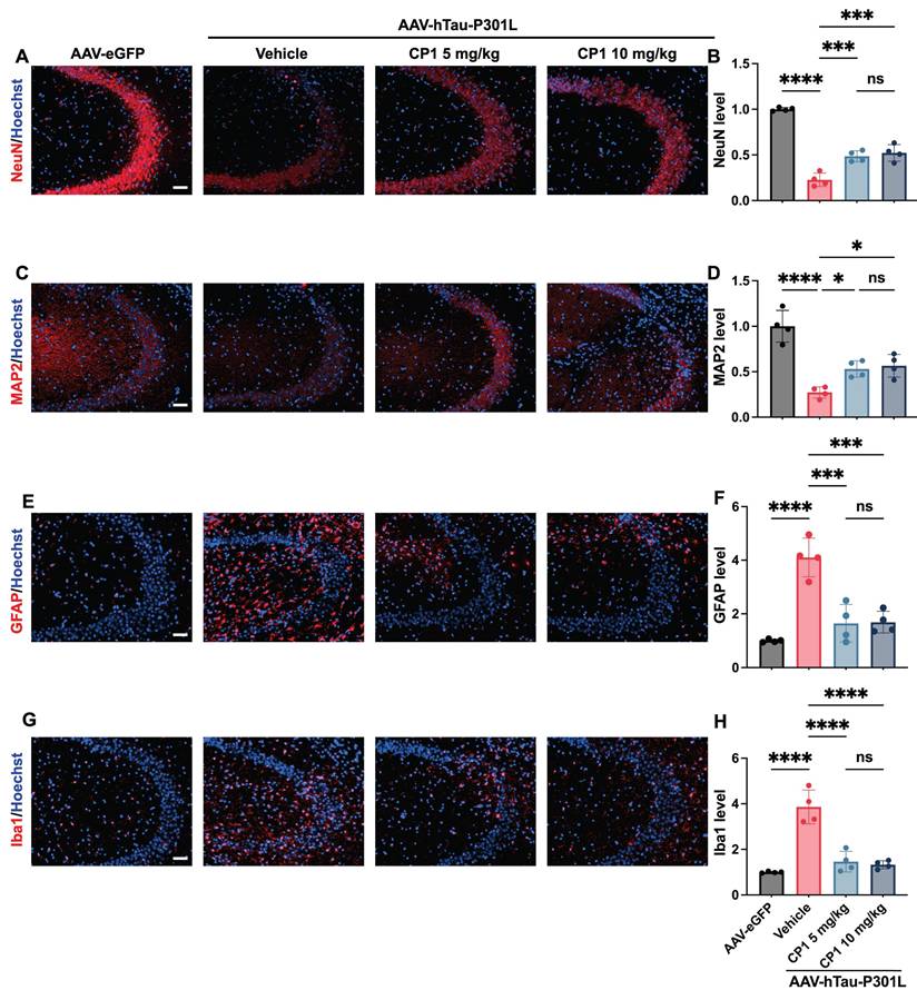 Int J Biol Sci Image