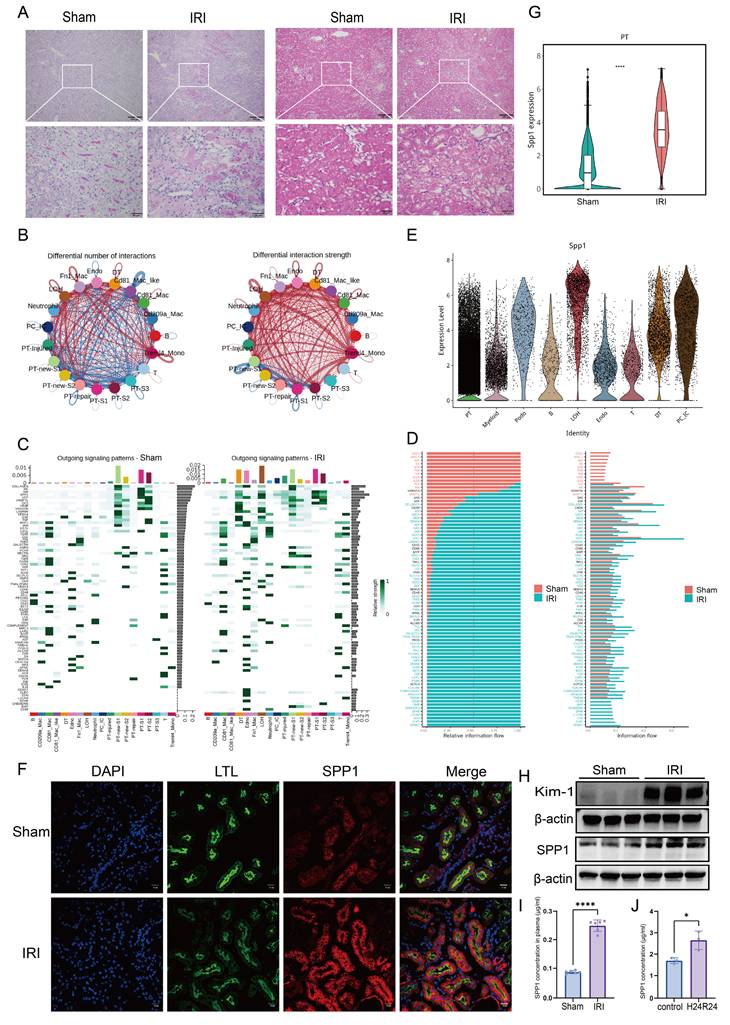 Int J Biol Sci Image