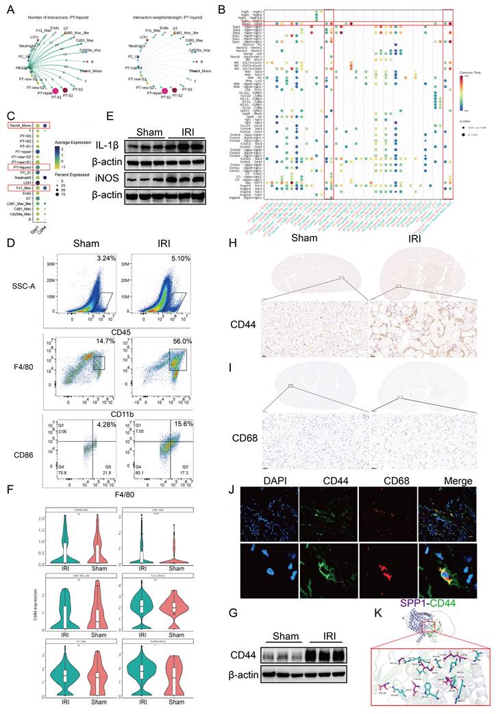 Int J Biol Sci Image