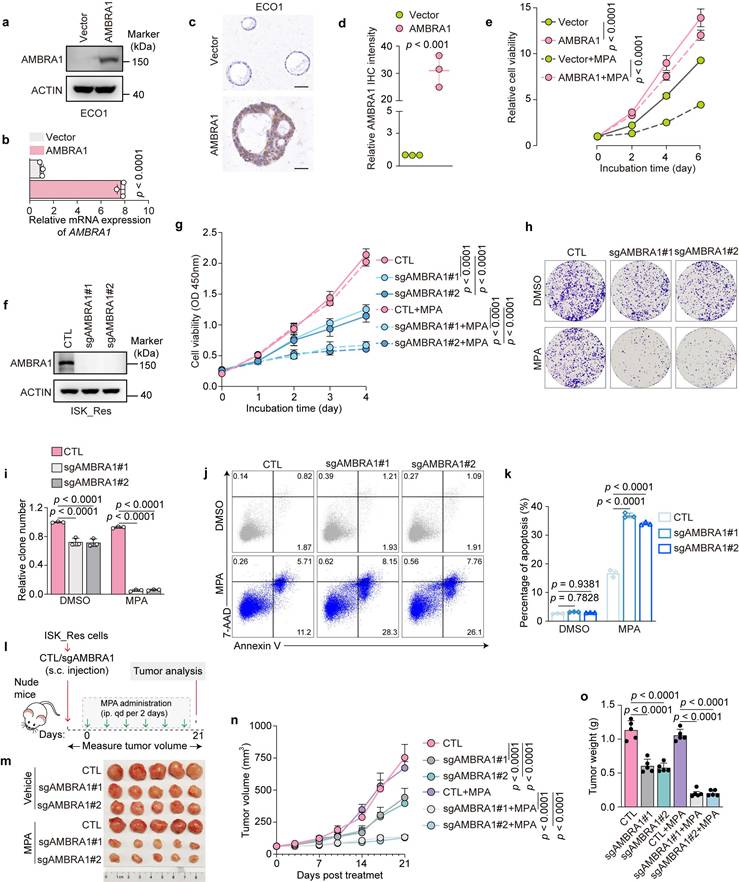 Int J Biol Sci Image