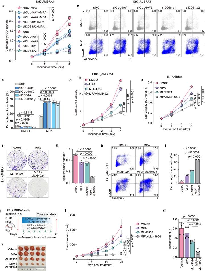 Int J Biol Sci Image