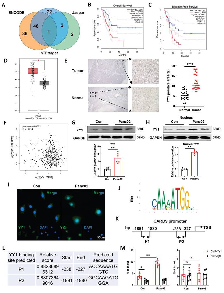 Int J Biol Sci Image
