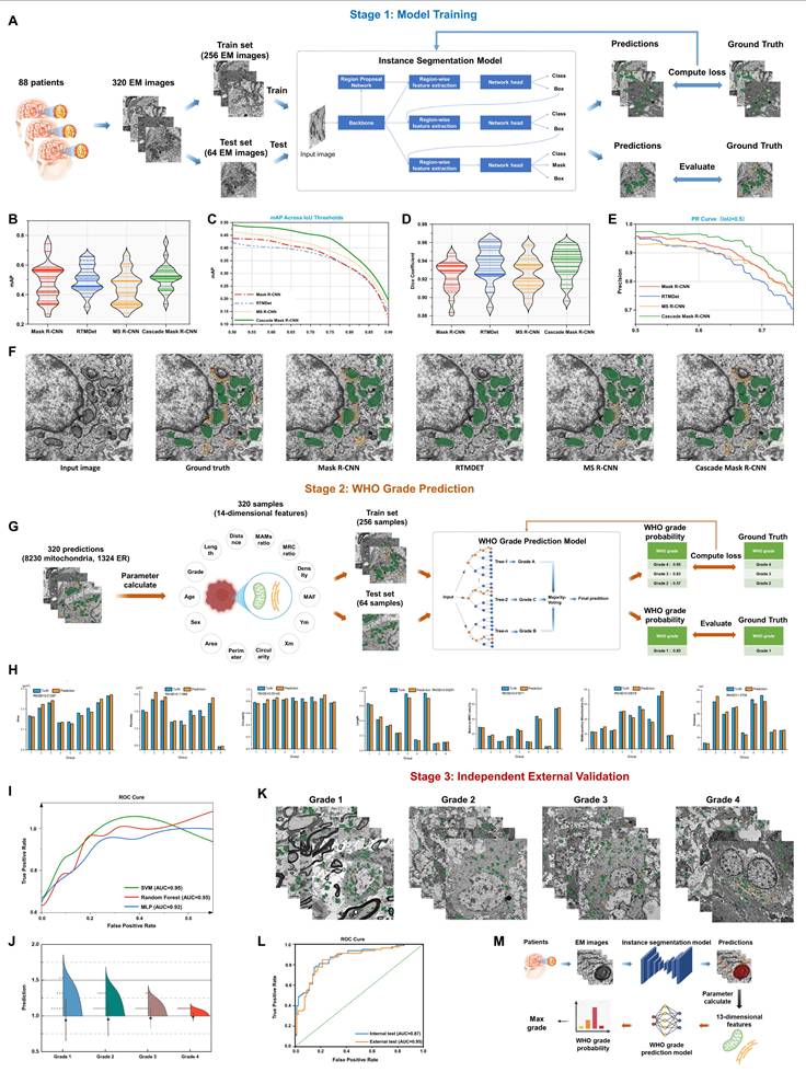 Int J Biol Sci Image