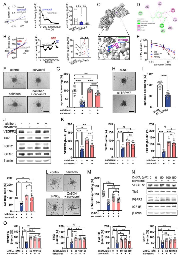 Int J Biol Sci Image
