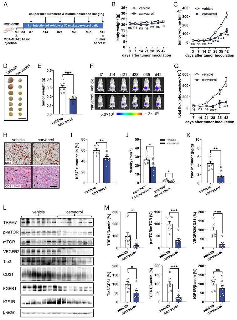 Int J Biol Sci Image