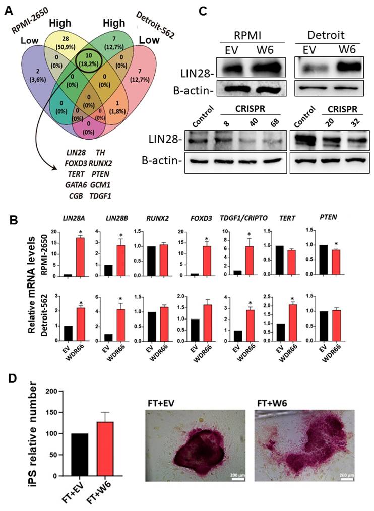 Int J Biol Sci Image
