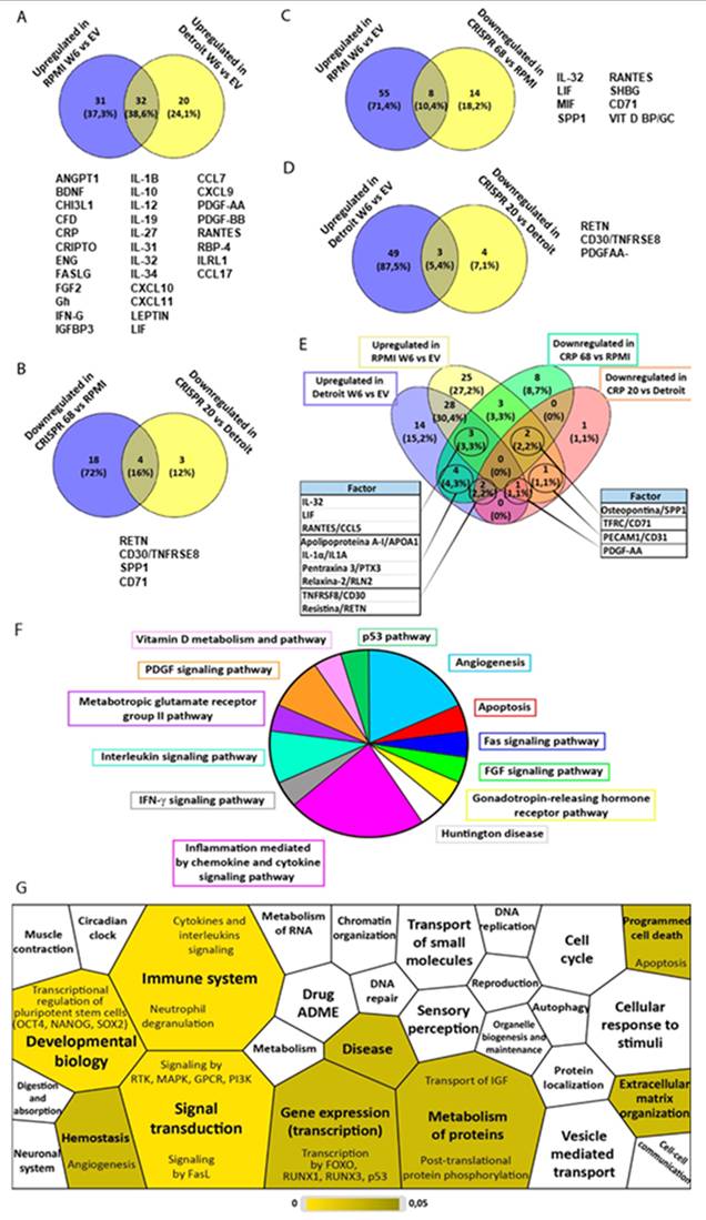 Int J Biol Sci Image