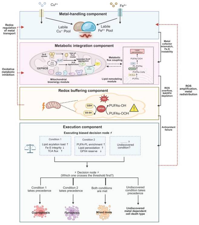 Int J Biol Sci Image