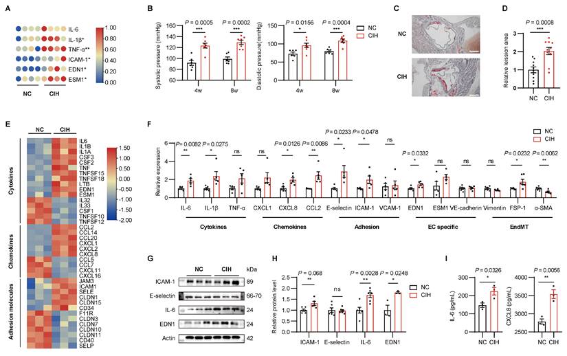 Int J Biol Sci Image