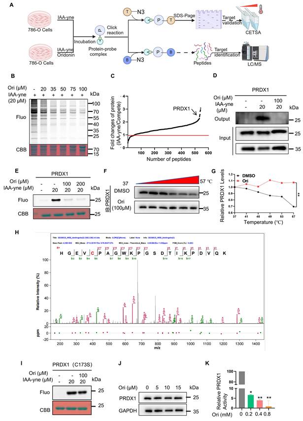 Int J Biol Sci Image