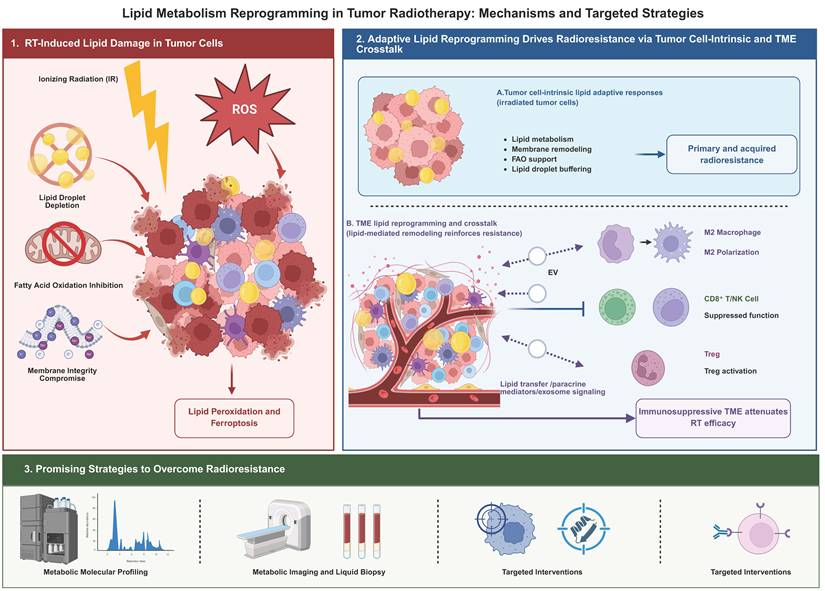 Int J Biol Sci Image
