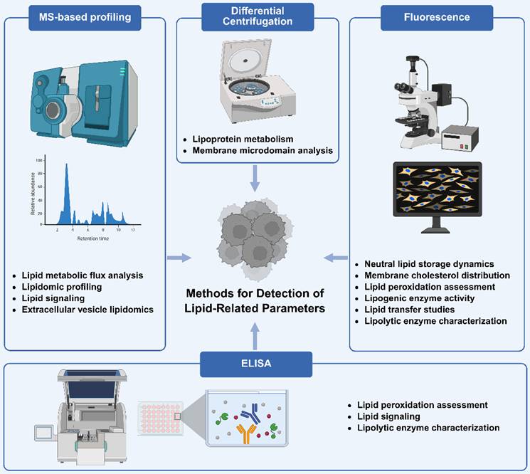 Int J Biol Sci Image