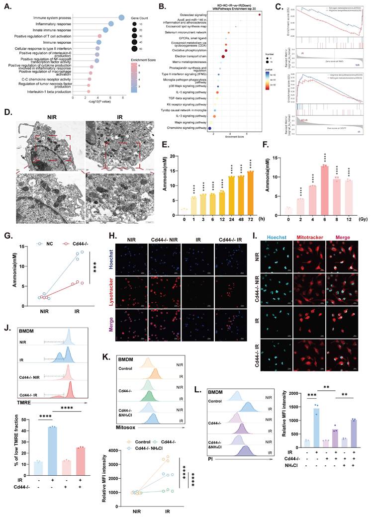 Int J Biol Sci Image
