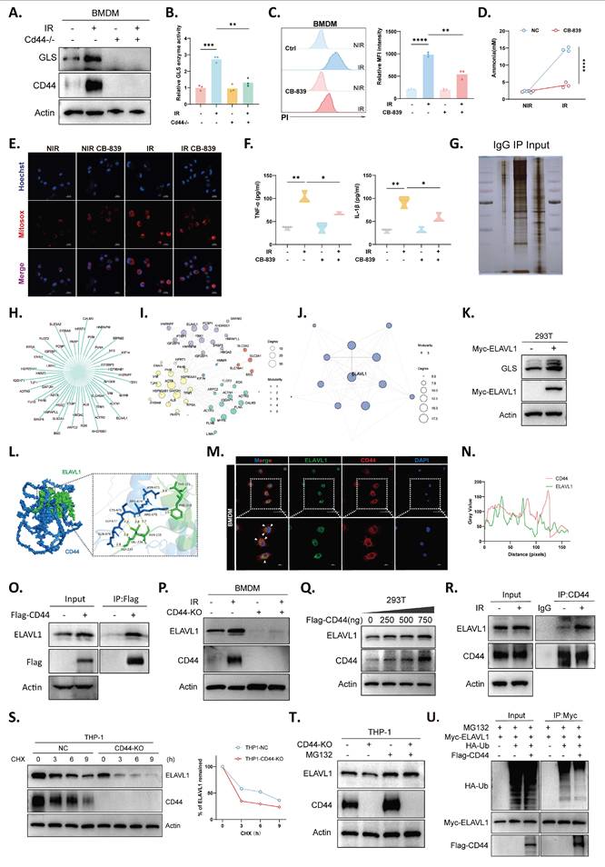 Int J Biol Sci Image