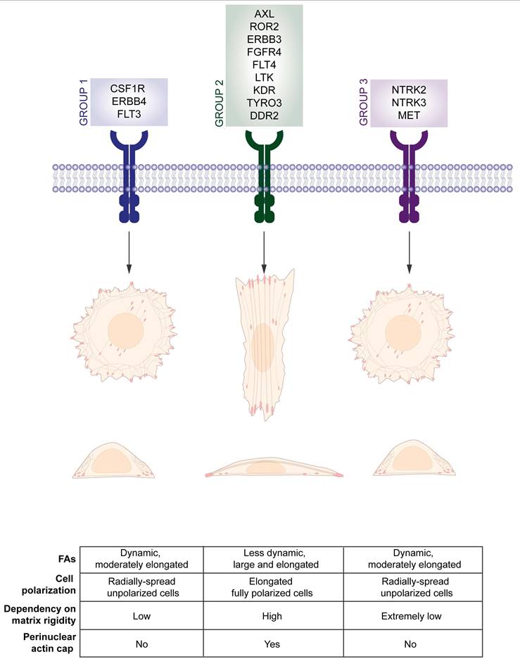 Int J Biol Sci Image
