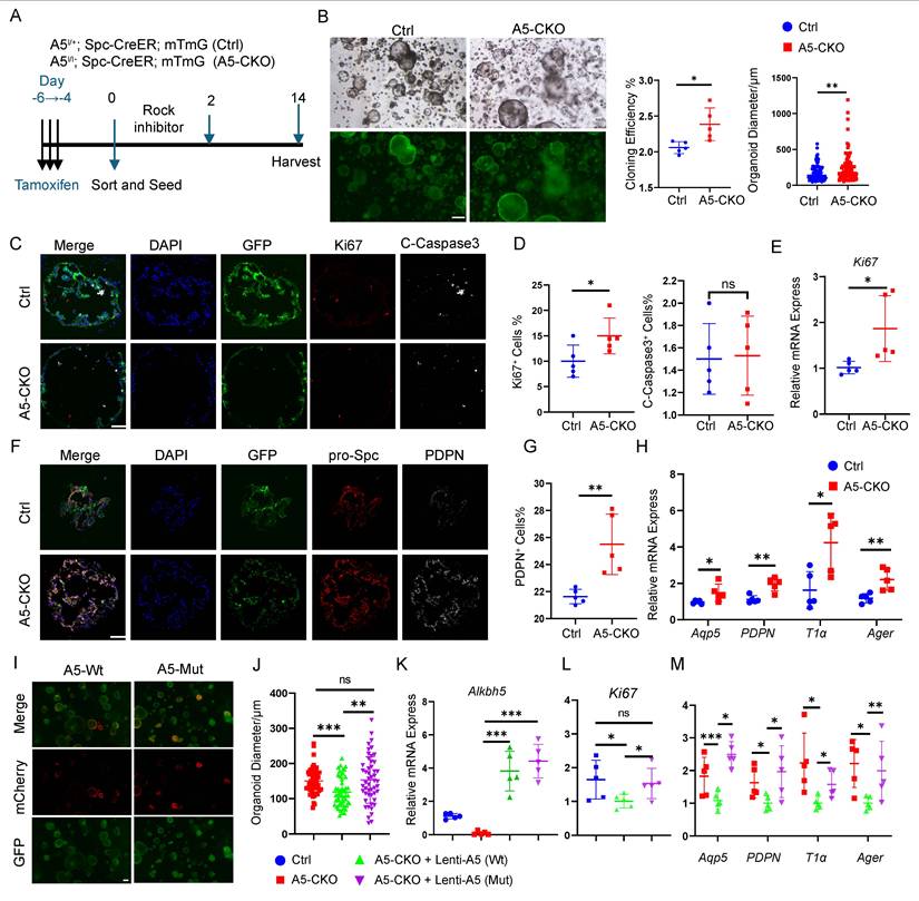 Int J Biol Sci Image