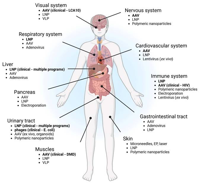Int J Biol Sci Image