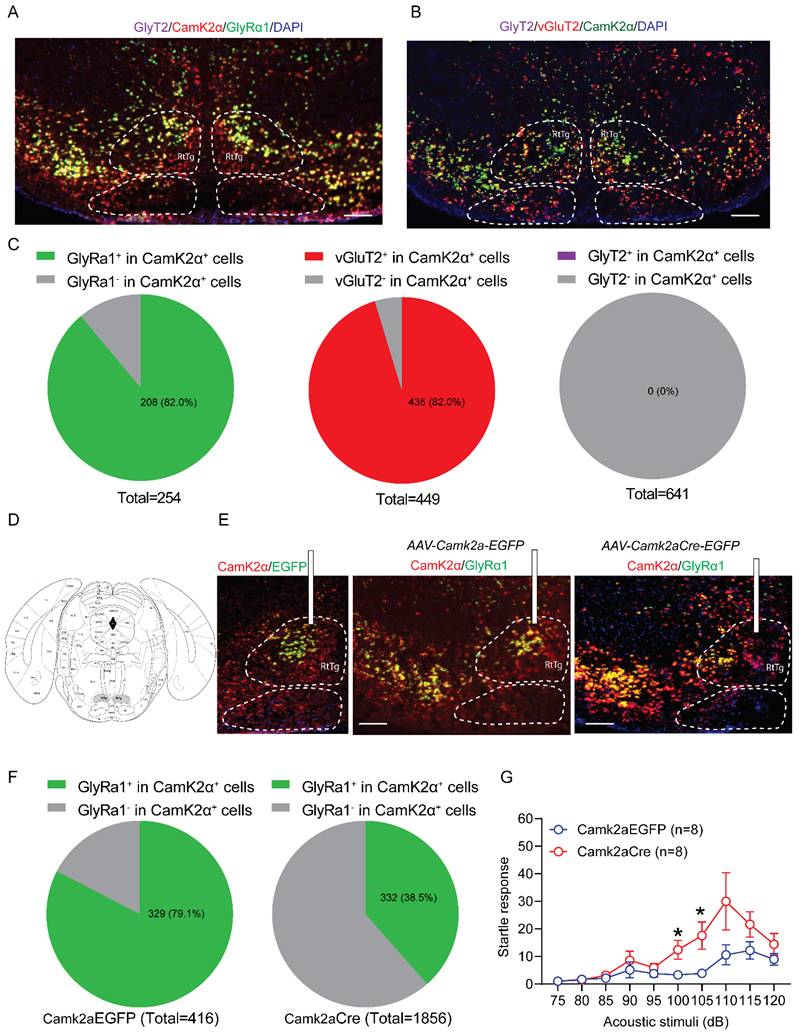 Int J Biol Sci Image