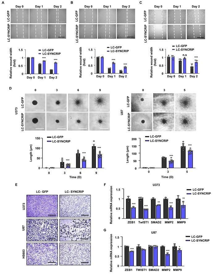 Int J Biol Sci Image