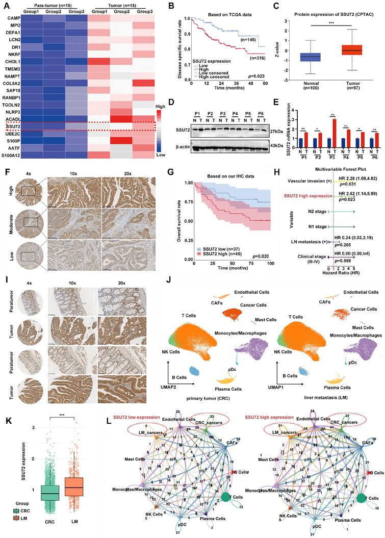 Int J Biol Sci Image