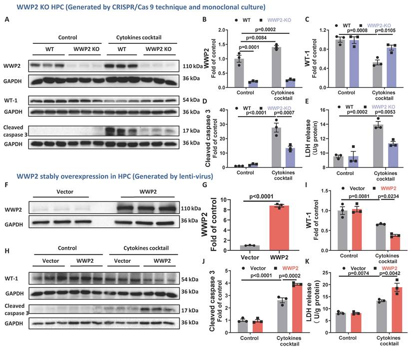 Int J Biol Sci Image
