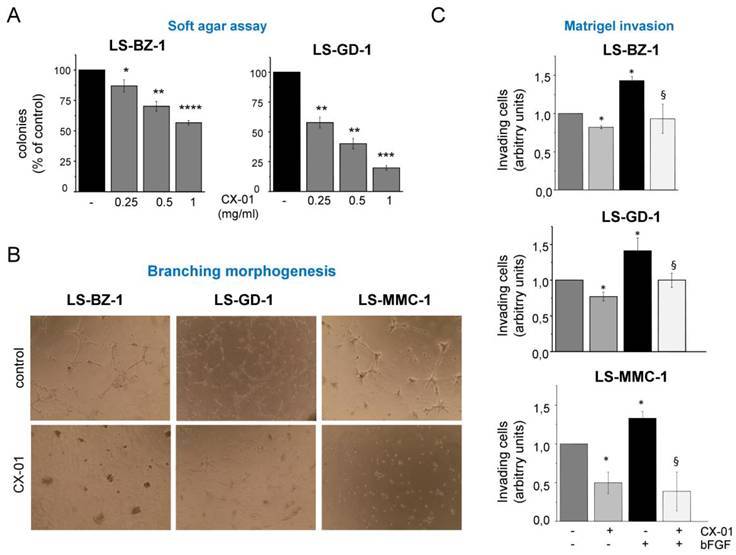 Int J Biol Sci Image