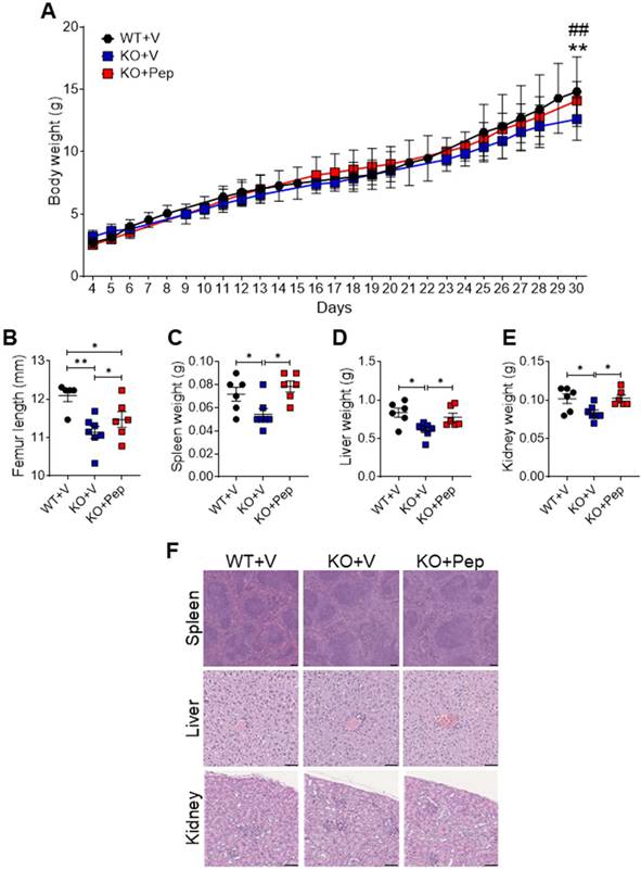 Int J Biol Sci Image