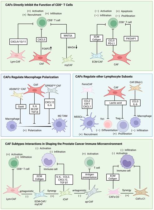 Int J Biol Sci Image