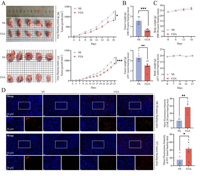 Int J Biol Sci Image