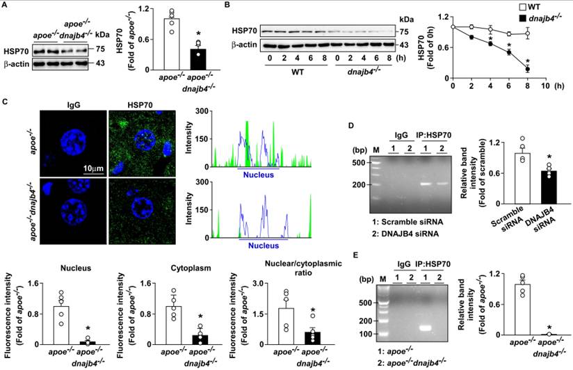 Int J Biol Sci Image