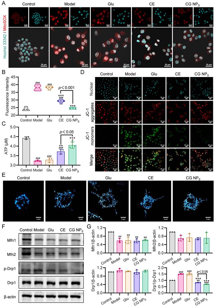 Int J Biol Sci Image