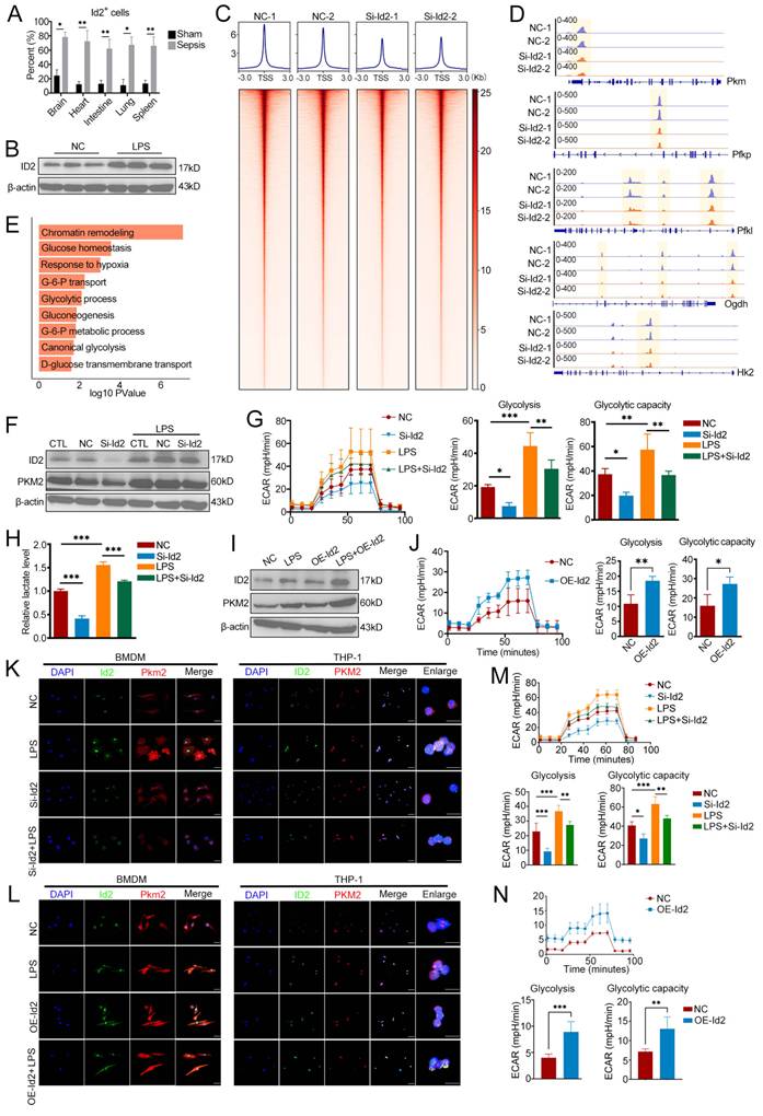 Int J Biol Sci Image