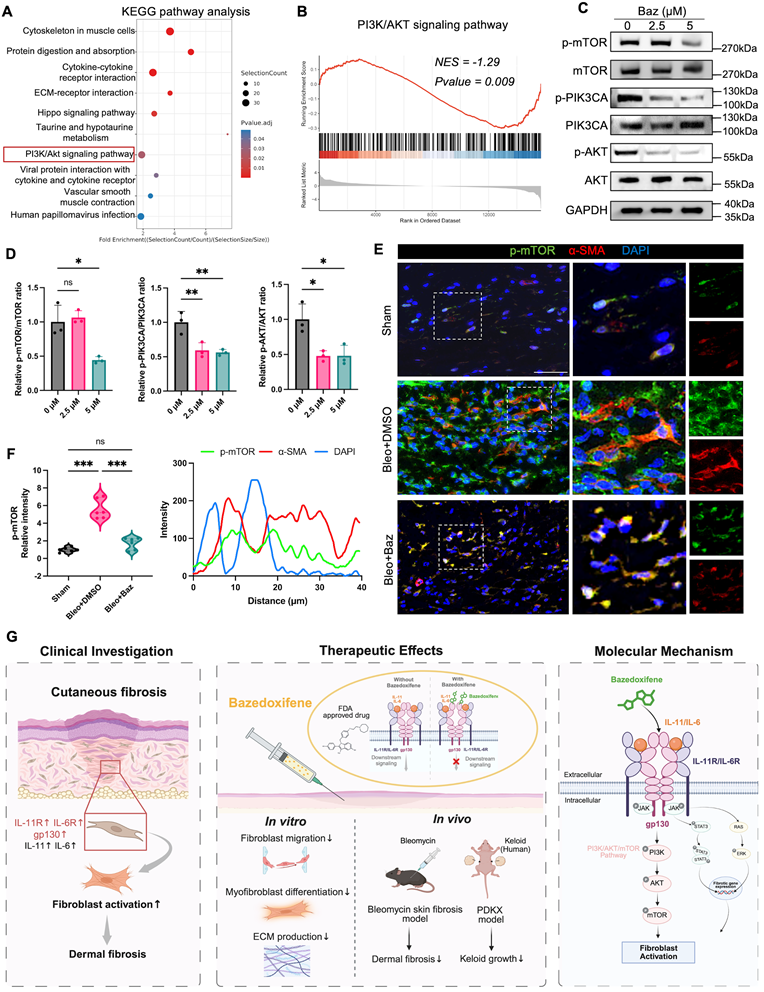 Int J Biol Sci Image