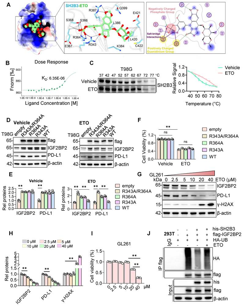 Int J Biol Sci Image