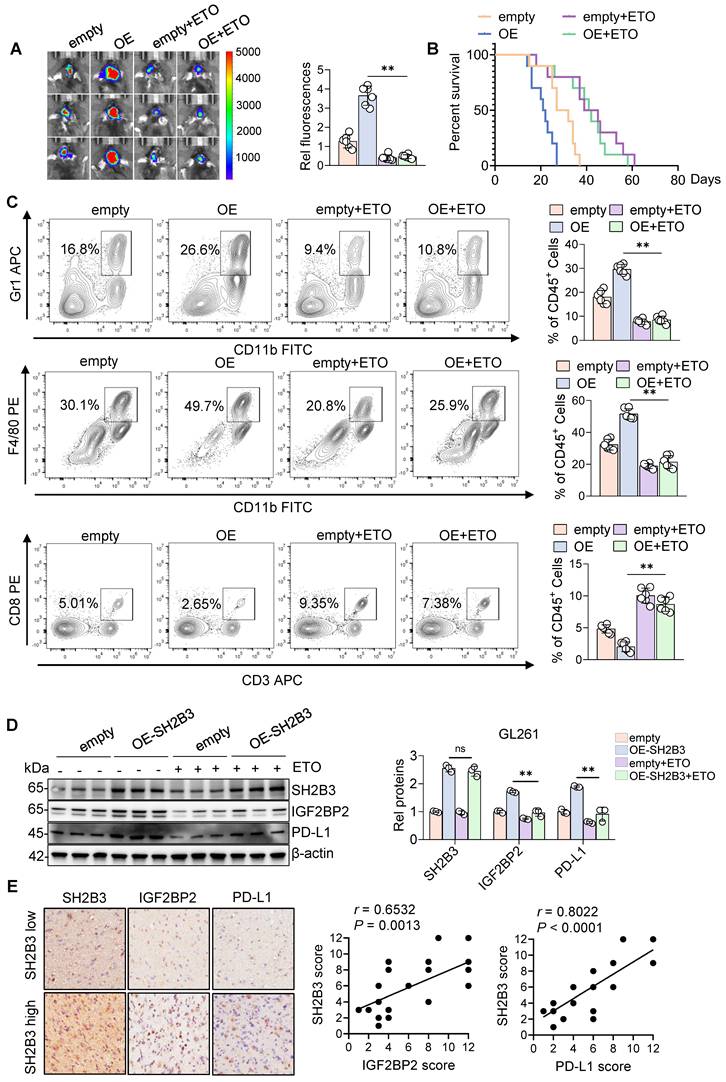 Int J Biol Sci Image