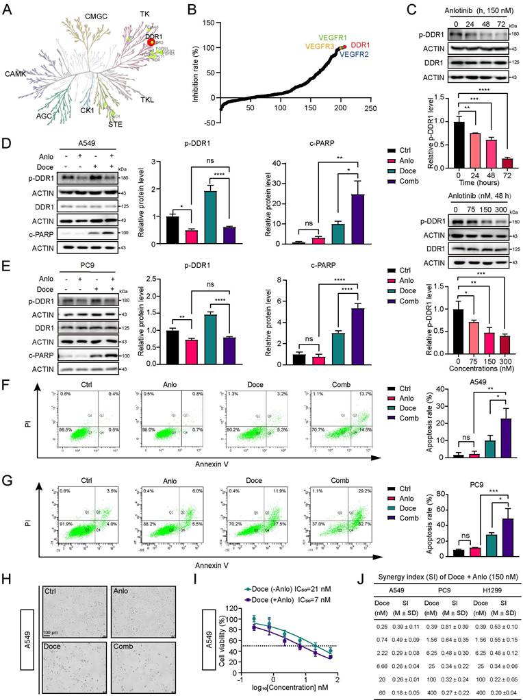 Int J Biol Sci Image