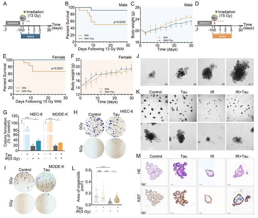 Int J Biol Sci Image
