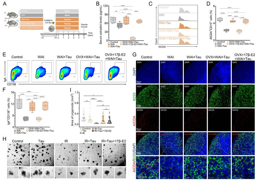 Int J Biol Sci Image