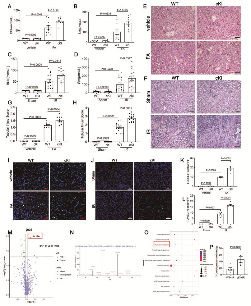 Int J Biol Sci Image