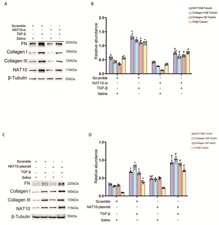 Int J Biol Sci Image