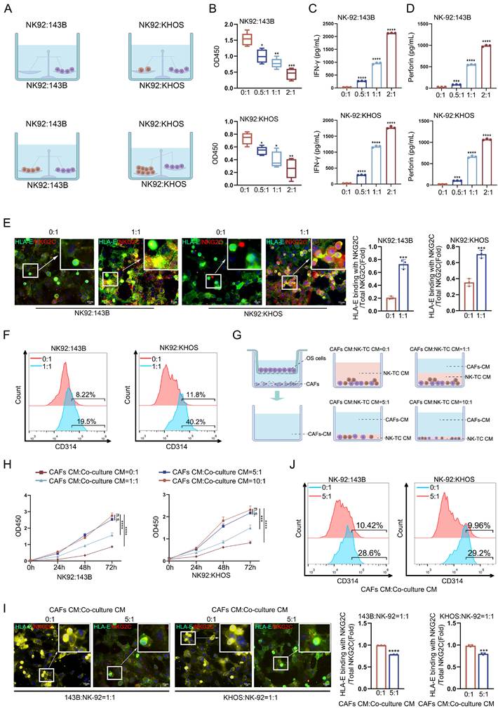 Int J Biol Sci Image