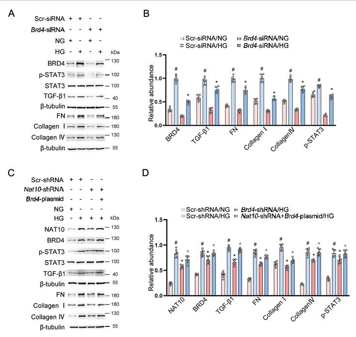 Int J Biol Sci Image