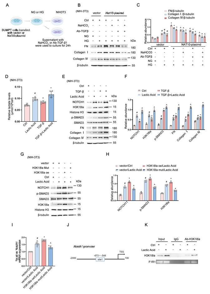 Int J Biol Sci Image