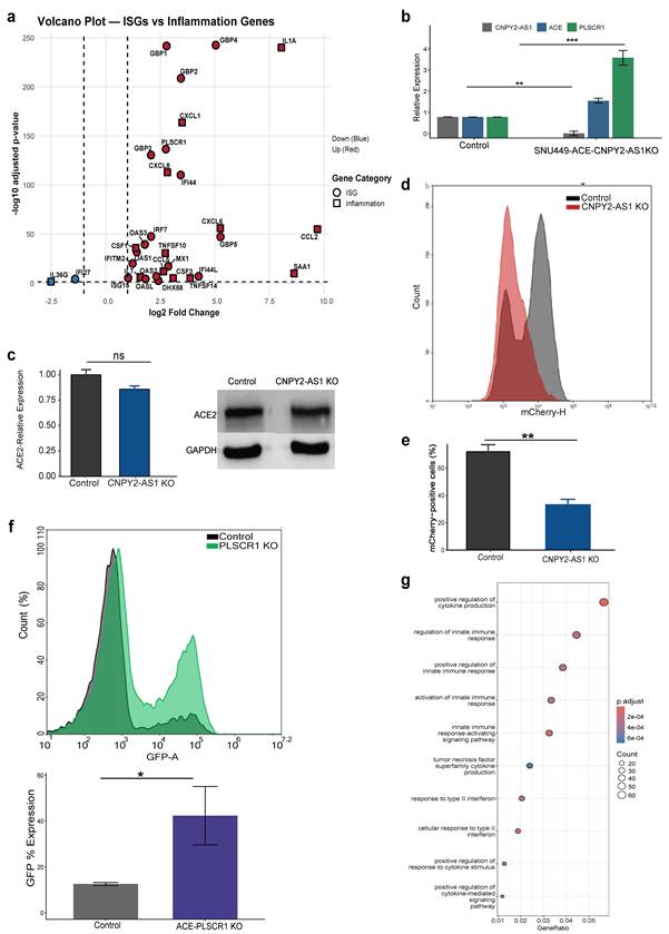 Int J Biol Sci Image